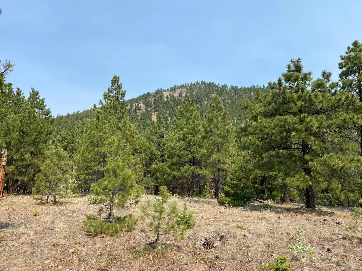 Wolf Creek, MT 59648,Lot 41 Rogers Creek RD