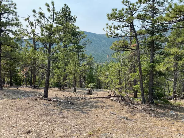 Wolf Creek, MT 59648,Lot 41 Rogers Creek RD