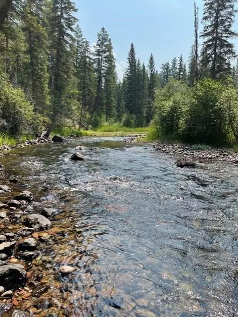 Condon, MT 59826,Lots 1-2 Mt Hwy 83