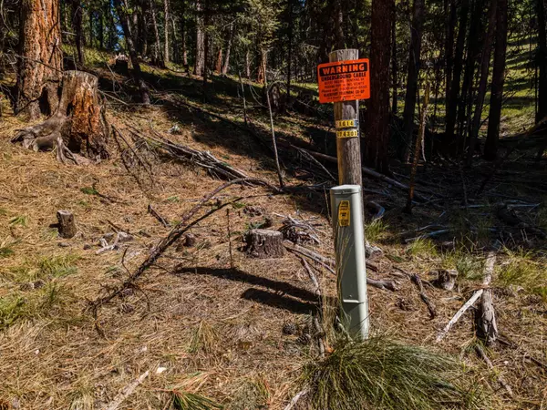 Seeley Lake, MT 59868,512 Bitterroot DR