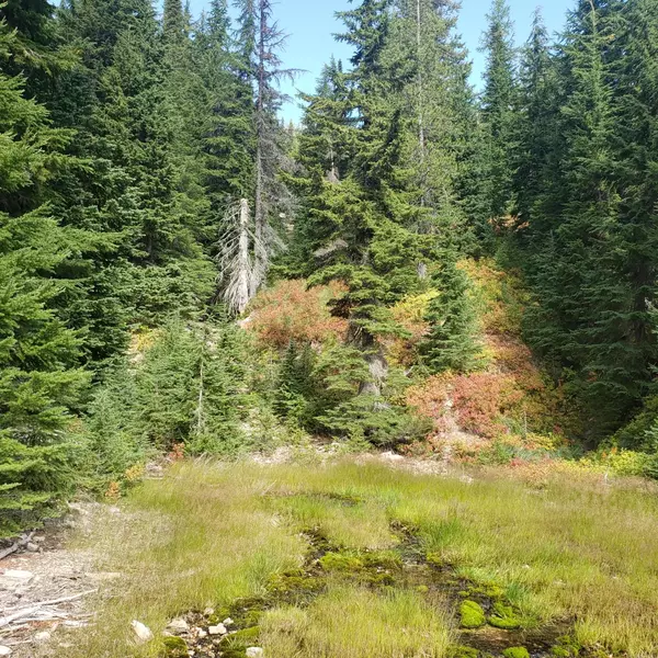 Saltese, MT 59867,Tbd Silver Cable /Randolph RD