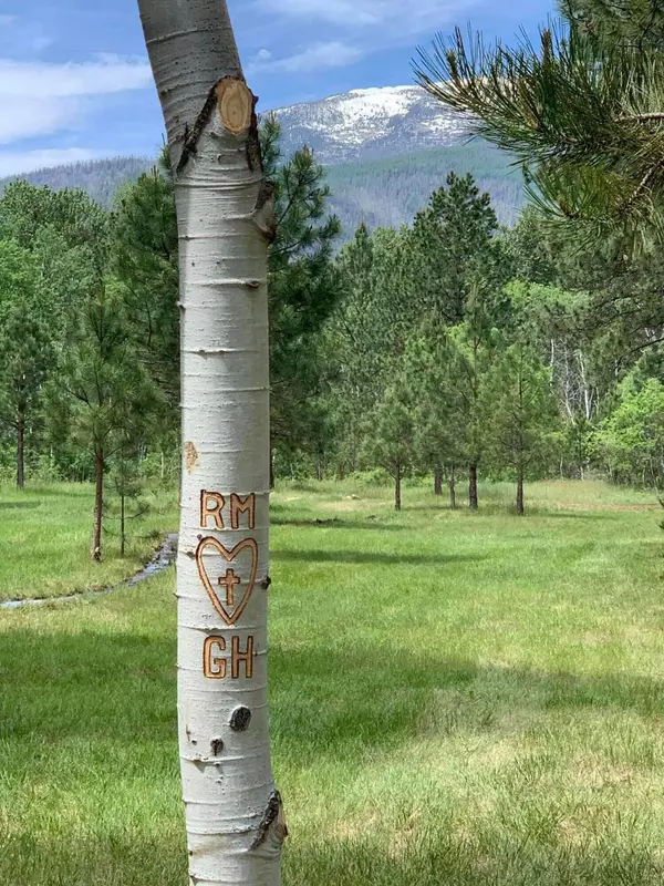 Florence, MT 59833,Nhn Sweeney Creek LOOP