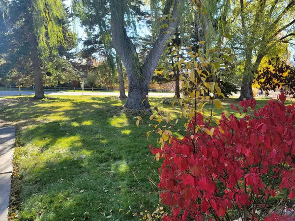Missoula, MT 59804,3904 Mount AVE