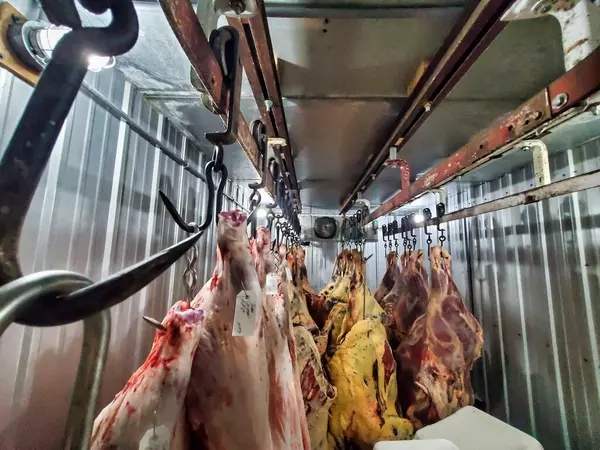 221 Star RD,  Troy,  MT 59935