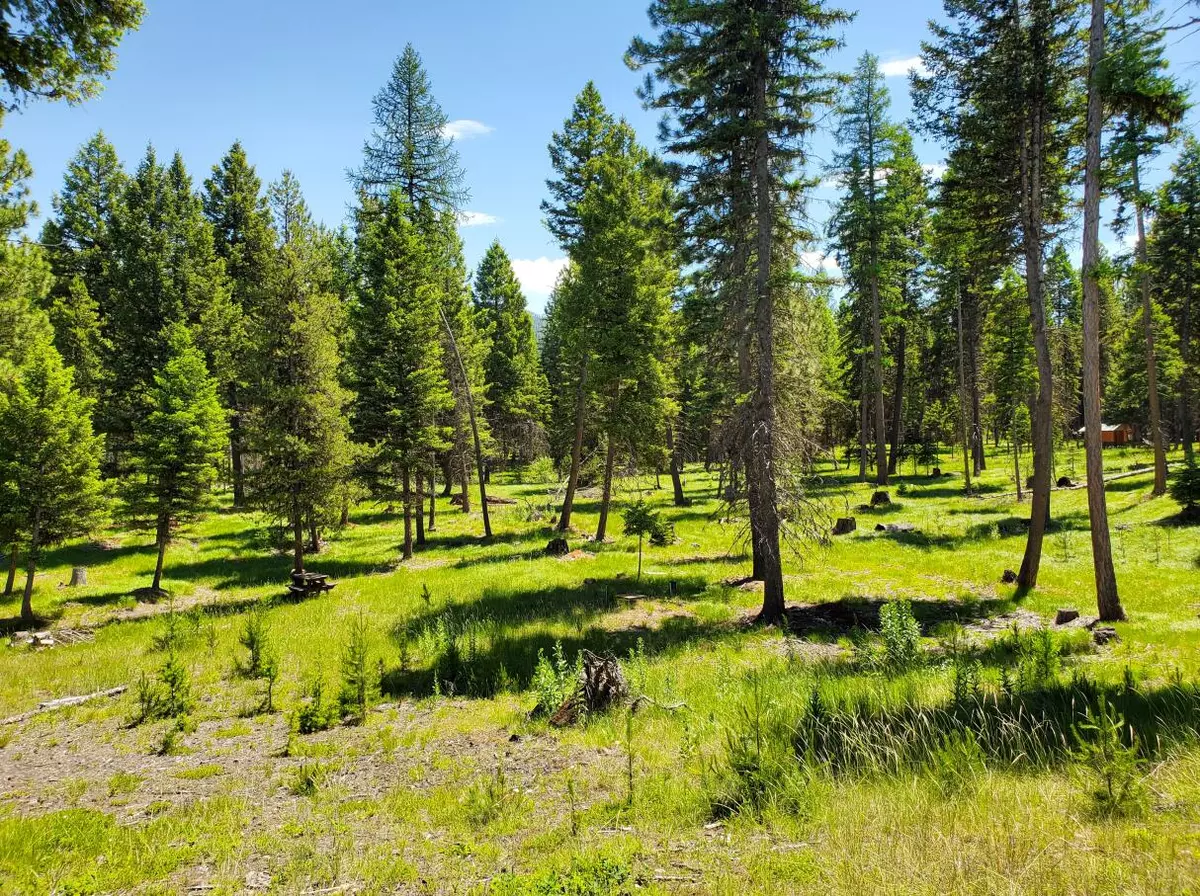 Seeley Lake, MT 59868,934 Montana DR