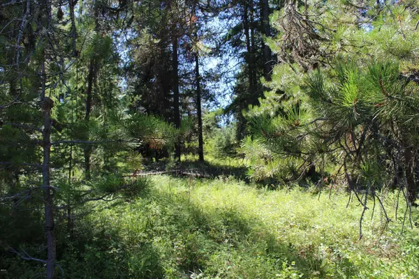 Trout Creek, MT 59874,Nhn Marten Creek RD