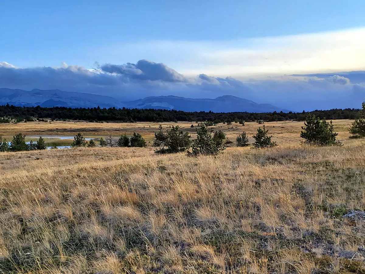 Dupuyer, MT 59432,Tbd 7 Mile RD