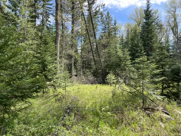 Thompson Falls, MT 59873,3 Grand DR