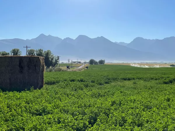 Address Not Disclosed