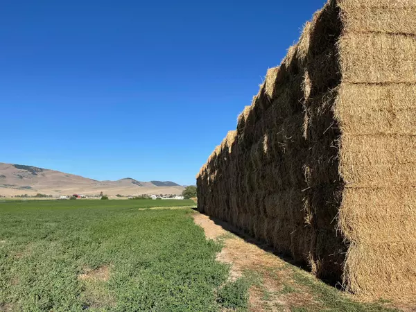 Saint Ignatius, MT 59865,36497 Pinsoneault RD