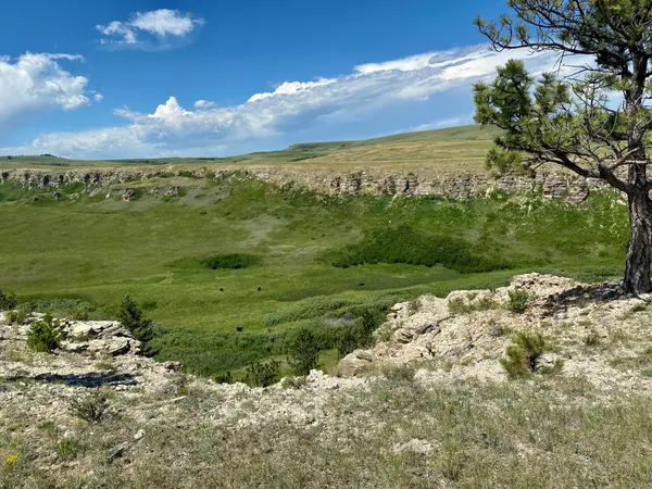 Forest Grove, MT 59441,Lot 1 E Beaver Ridge DR
