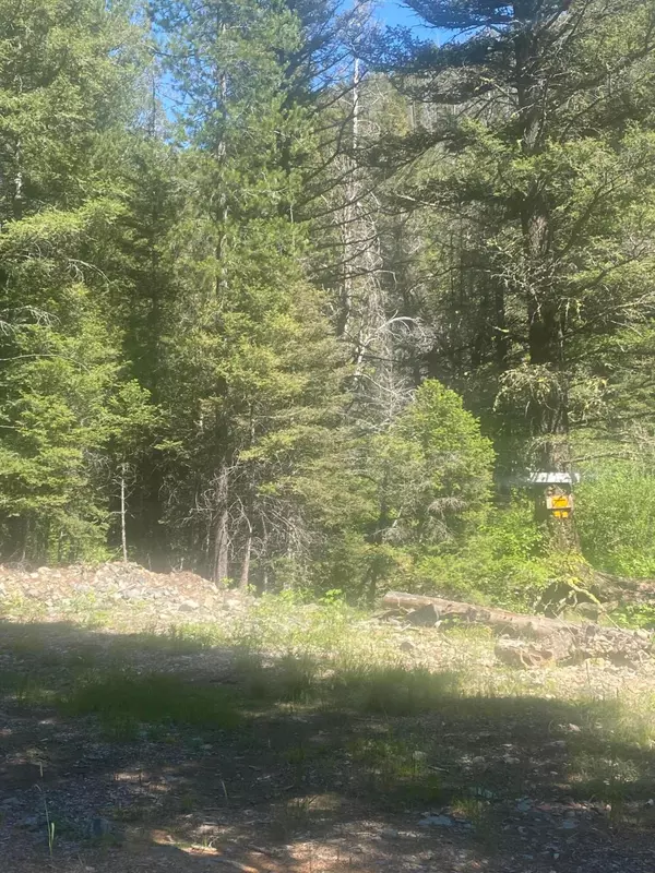 Avon, MT 59713,Tbd Washington Gulch