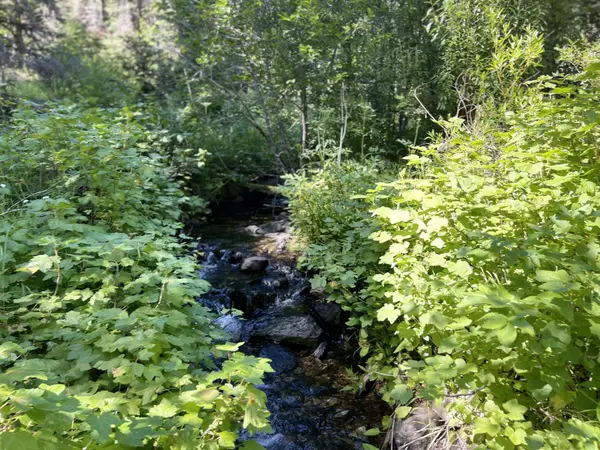 Avon, MT 59713,Tbd Washington Gulch