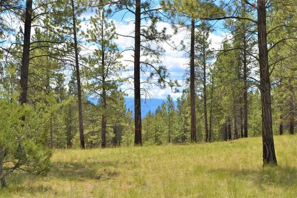 Lot 5 Sherman DR,  Eureka,  MT 59917