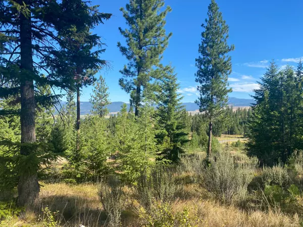 Plains, MT 59859,Lot 40 Bighorn Bluff LOOP