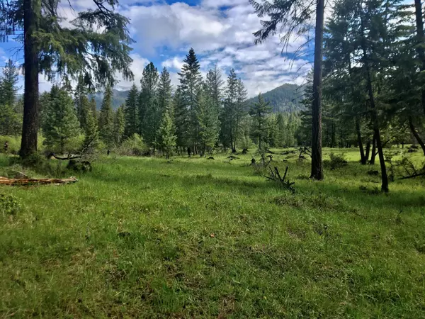 Thompson Falls, MT 59873,15 Earls LN