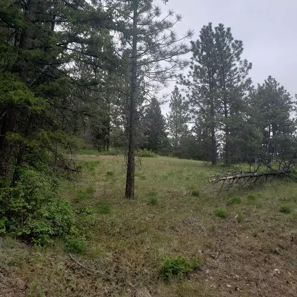 Victor, MT 59875,Tbd Bourne Ridge RD