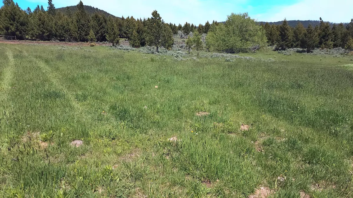 Helmville, MT 59843,#8 Nevada Creek Ranch Tract 8, 160 Acres +/-