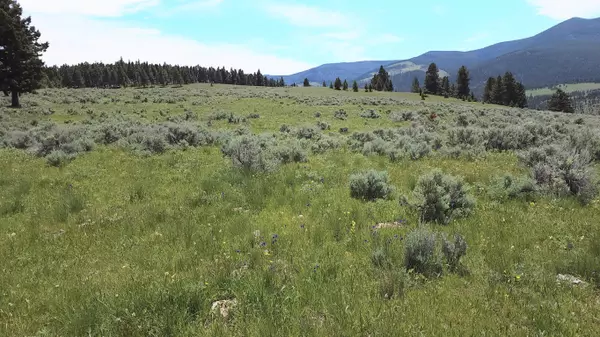 Helmville, MT 59843,#15 Nevada Creek Ranch Tract, 160 Acres +/-