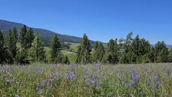 Helmville, MT 59843,#4 Nevada Creek Ranch,Tract, 201.61 +/- Acres