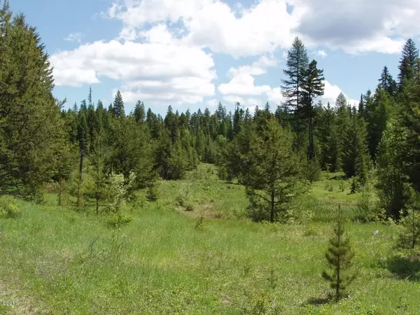 Whitefish, MT 59937,20 Meadows CT