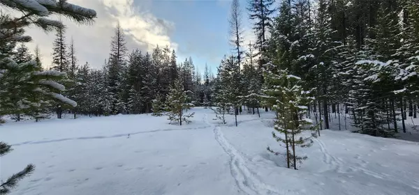 Yaak, MT 59935,86 N Silver DR