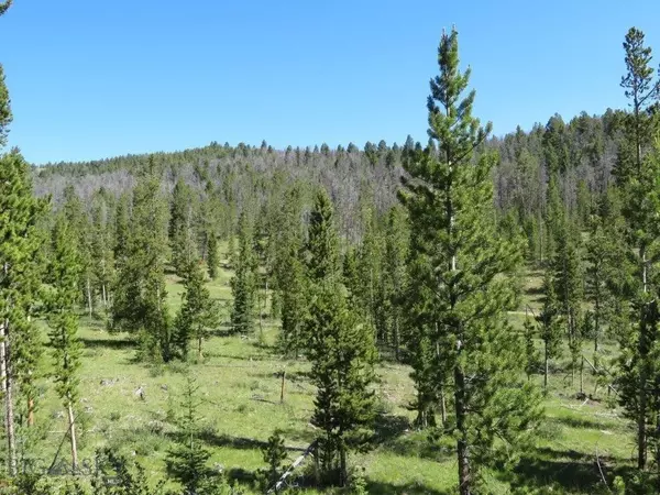 Wise River, MT 59762,TBD Quartz Hill RD