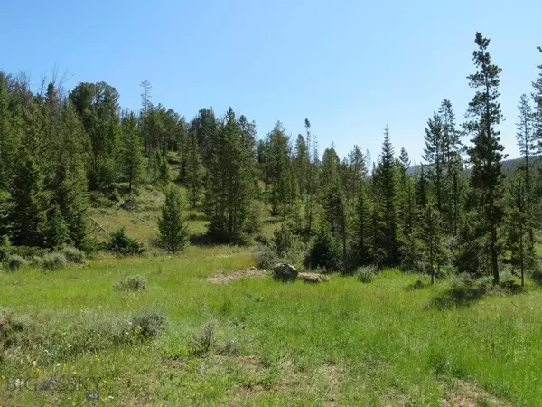 Wise River, MT 59762,TBD Quartz Hill RD
