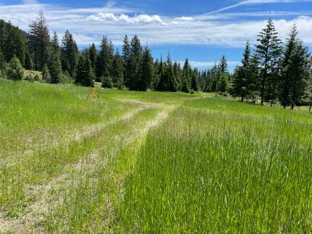 Trout Creek, MT 59874,no address Green Mountain RD