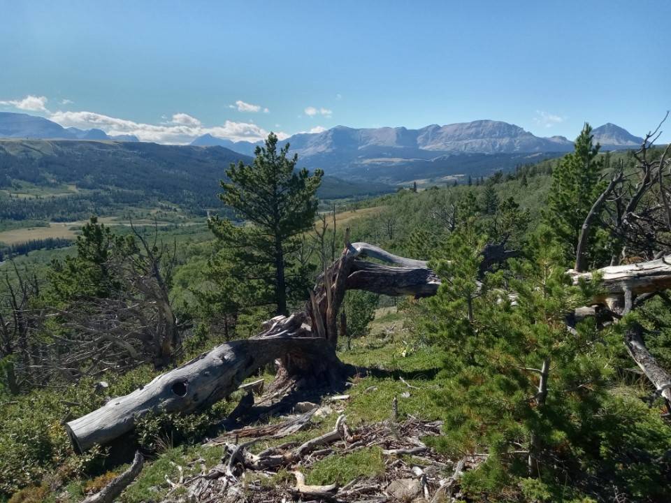 NHN HWY 89, Browning, MT 59417