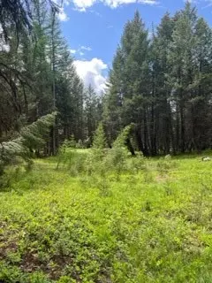 Rexford, MT 59930,Lot 1 Slick Gulch RD