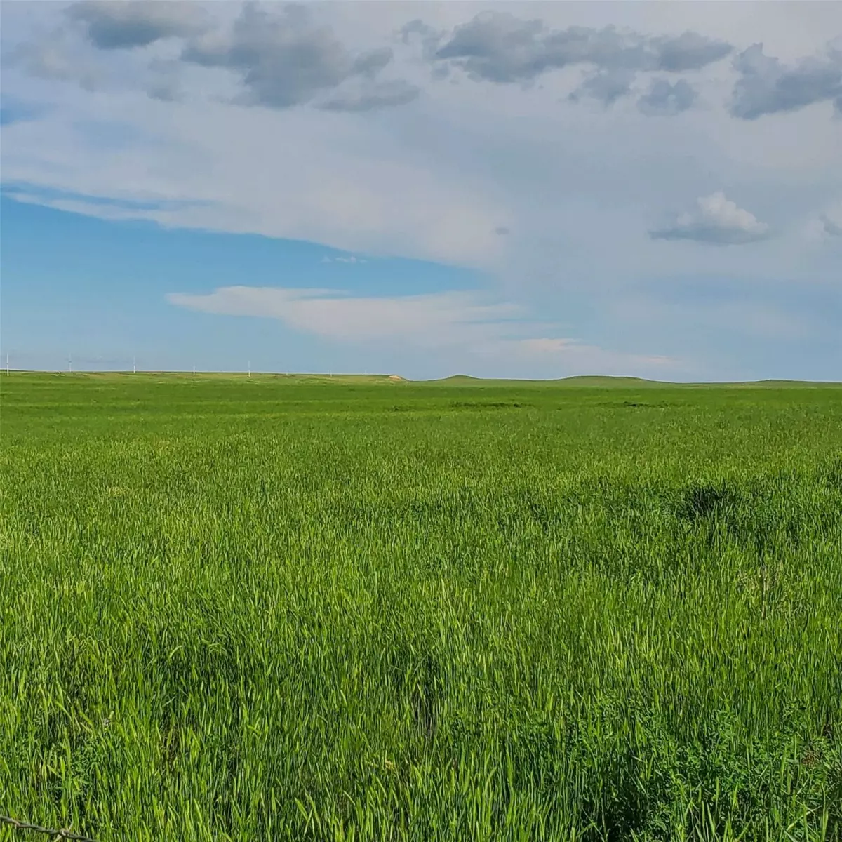 Roundup, MT 59072,TBD Hochmuth RD