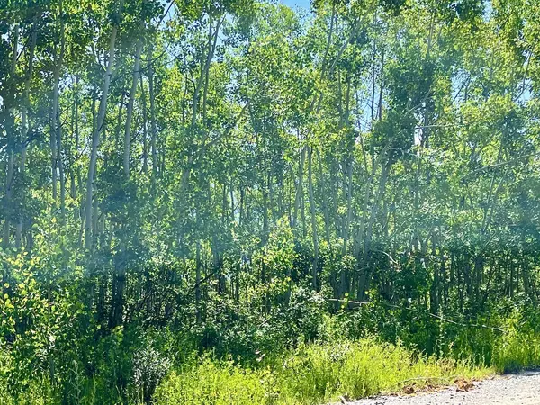 Babb, MT 59411,504 W Shore RD