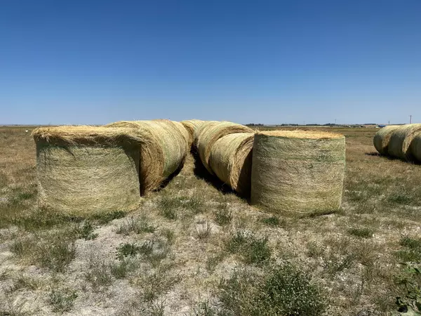 Choteau, MT 59422,162 Hwy 220