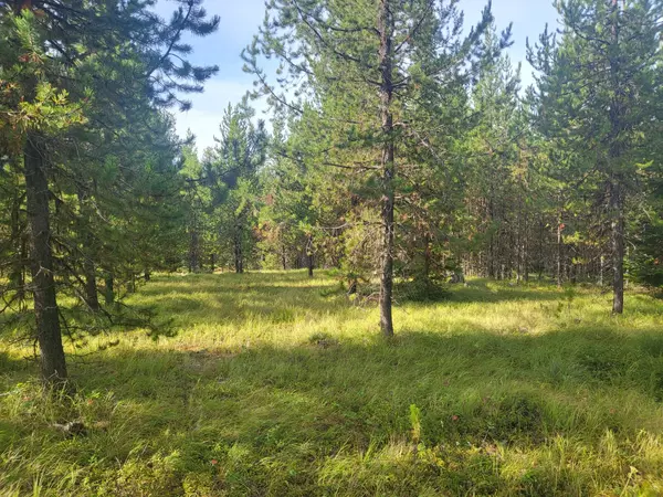 De Borgia, MT 59830,358 Jones Hill RD