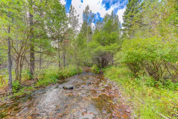 Canyon Creek, MT 59633,13007 Ponderosa DR