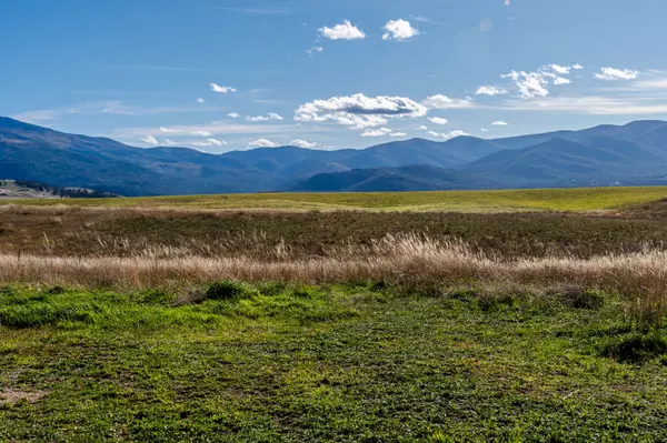 Plains, MT 59859,211 Upper Lynch Creek RD