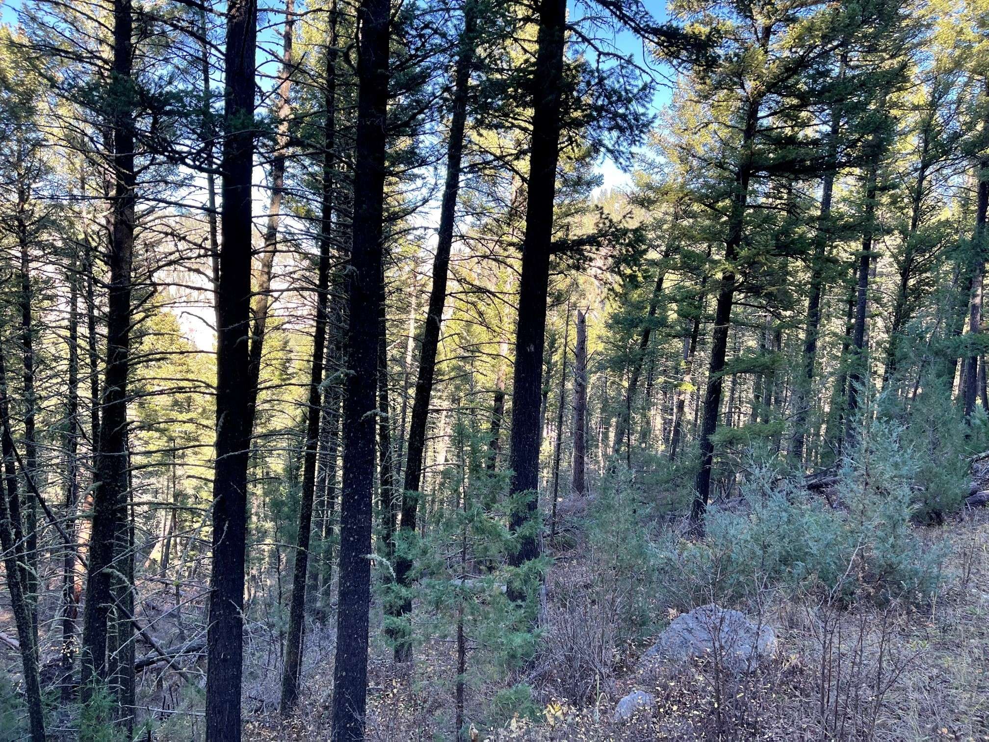 White Sulphur Springs, MT 59645,NHN Two Creeks RD