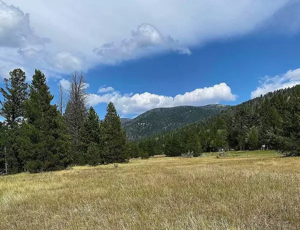 Canyon Creek, MT 59633,12490 Lincoln RD W