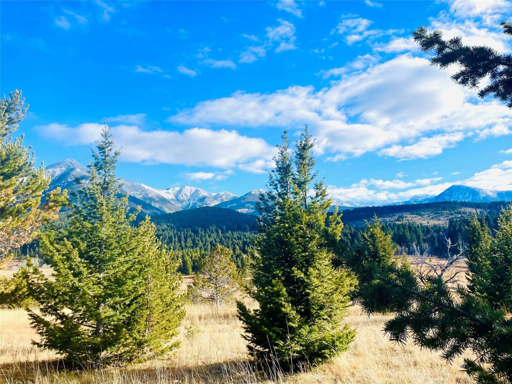 Livingston, MT 59047,TBD Livingston Peak RD