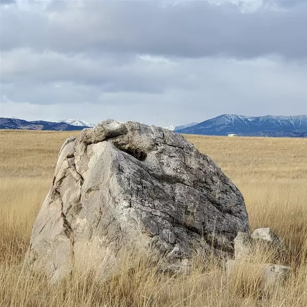 Augusta, MT 59410,246 Prickly Pear LN