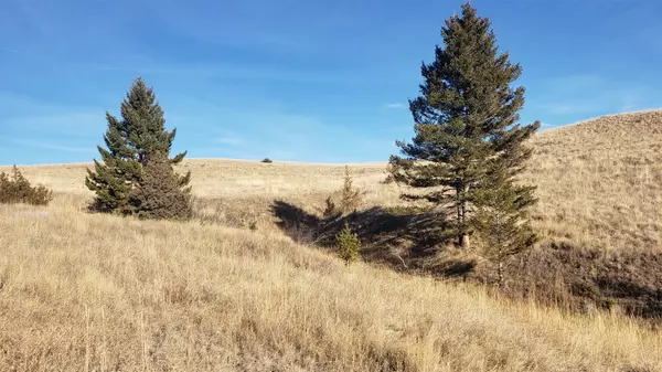 180 Lariat LOOP, Garrison, MT 59731