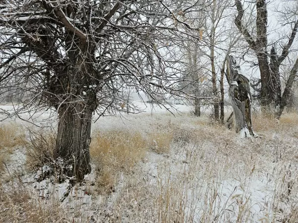 Augusta, MT 59410,NHN Henry ST