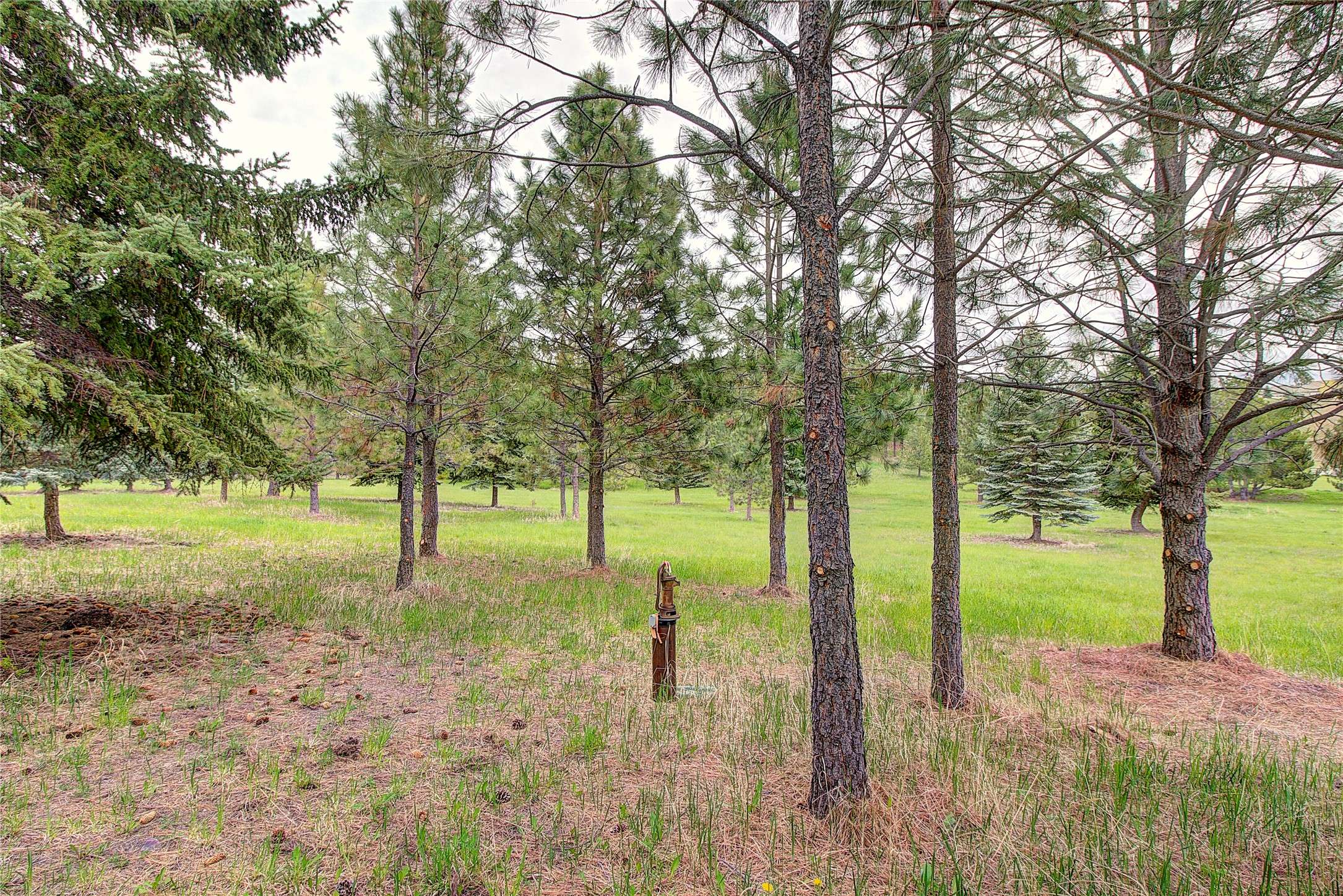 Polson, MT 59860,NHN Blue Spruce DR