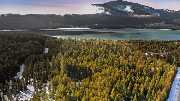 Trout Creek, MT 59874,NHN Driftwood Pt LN
