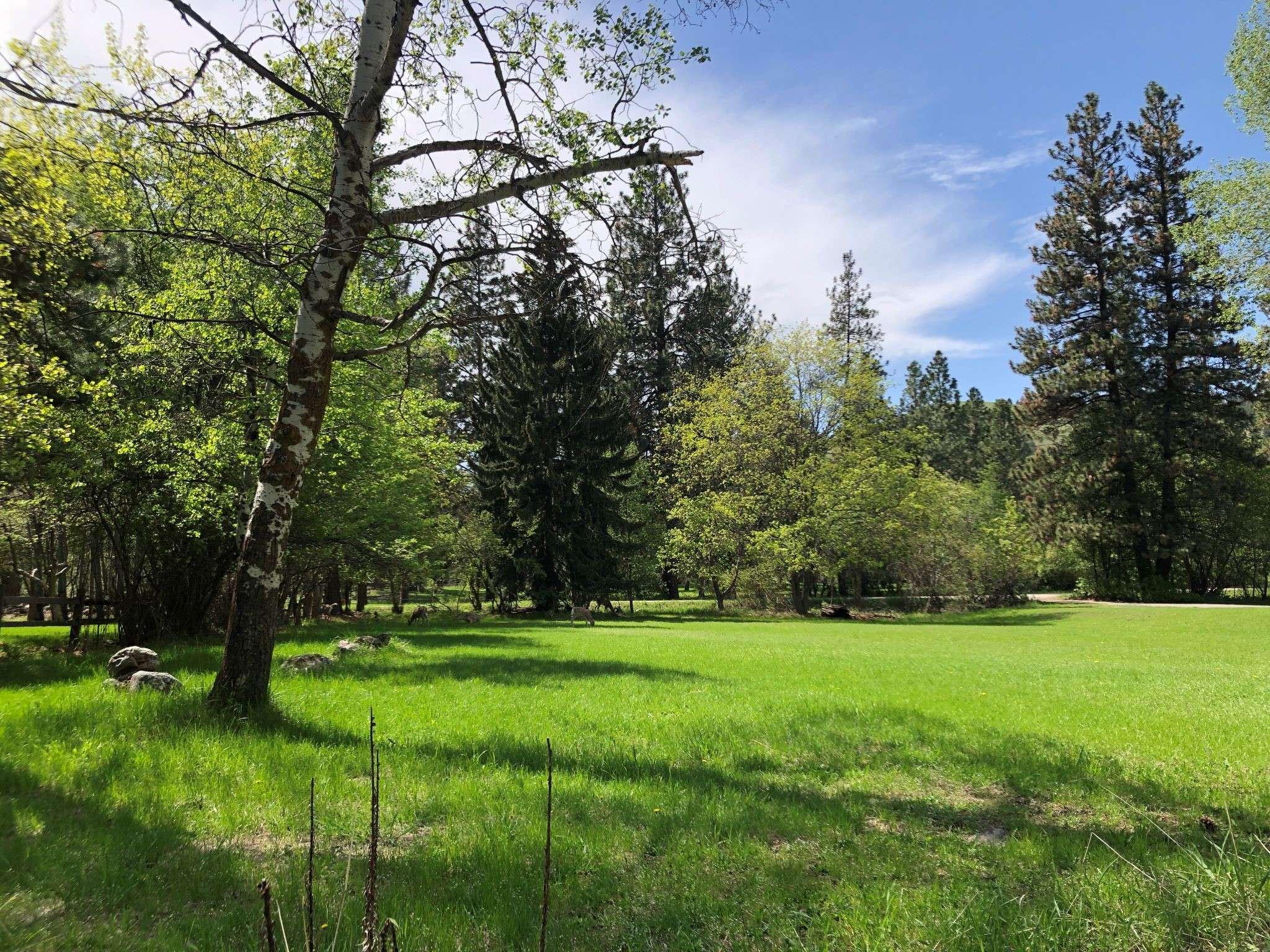 Missoula, MT 59802,Lots 2 & 15 Rattlesnake DR