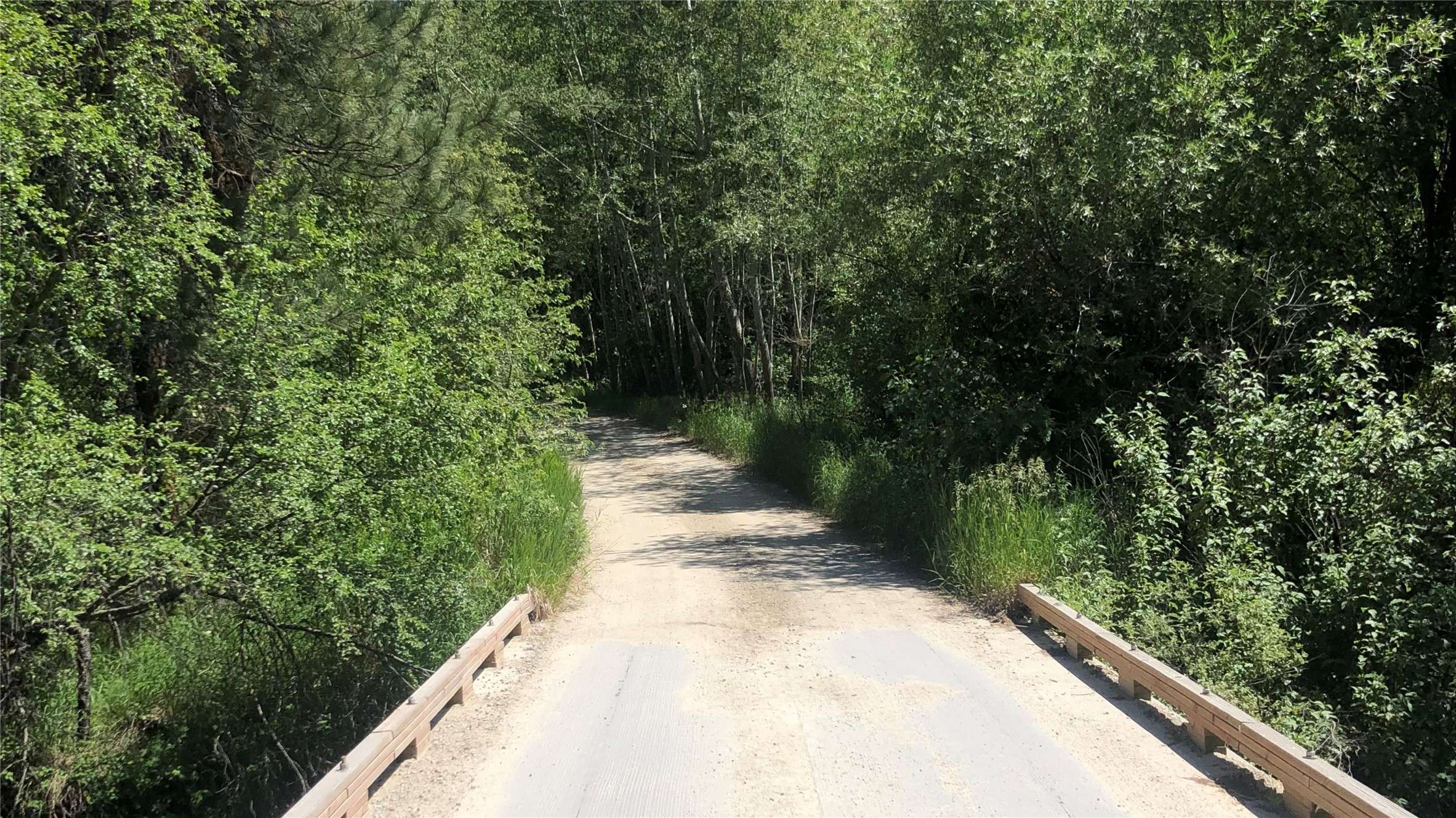 Hamilton, MT 59840,305 Jorgy WAY