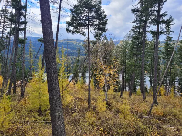 Bigfork, MT 59911,NHN Swan Lake Overlook