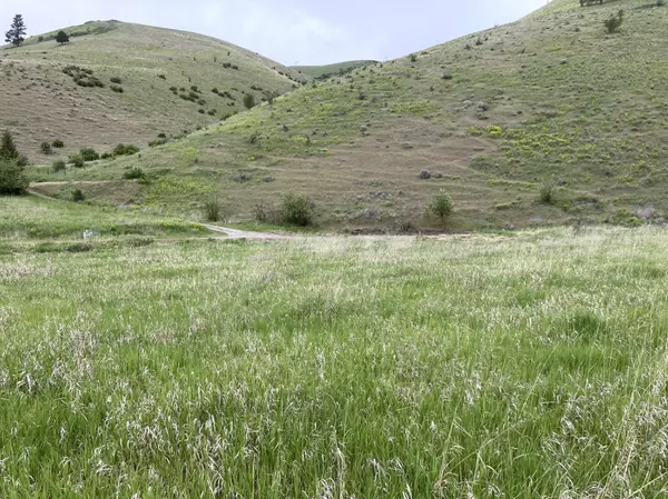 Missoula, MT 59803,LOT 2 Miller Creek RD