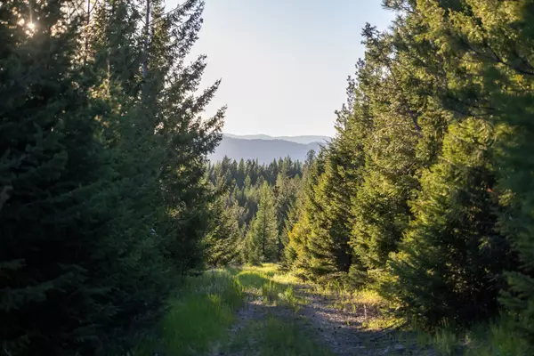 Kila, MT 59920,Coon Hollow Retreat